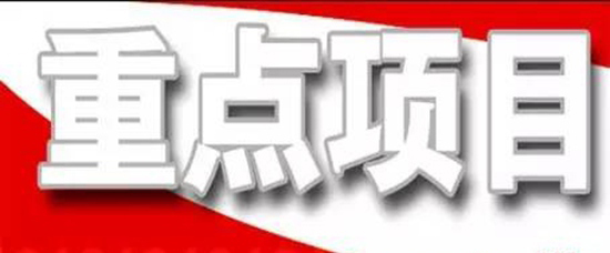 抓住项目不放松---王勤光到开云官方入口集团调研重点项目情况