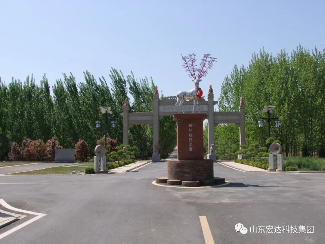山东开云官方入口集团举办党史学习教育活动